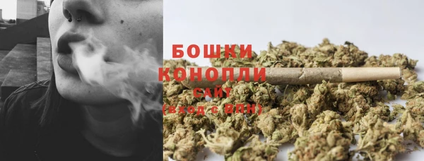 ГАЛЛЮЦИНОГЕННЫЕ ГРИБЫ Аркадак