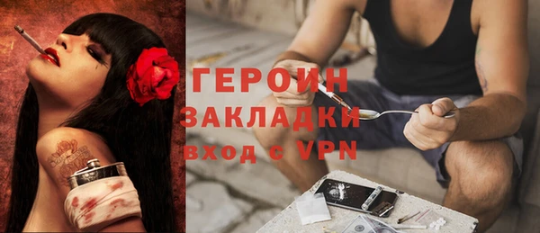 шишки Арсеньев