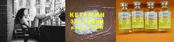 шишки Арсеньев