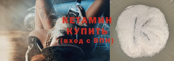шишки Арсеньев