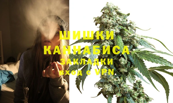ГАЛЛЮЦИНОГЕННЫЕ ГРИБЫ Аркадак