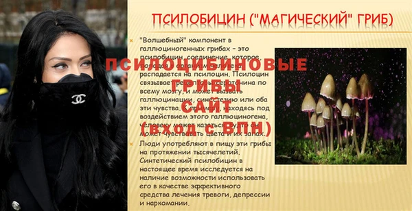 шишки Арсеньев