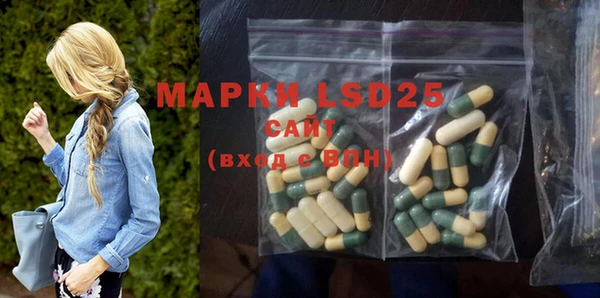 ГАЛЛЮЦИНОГЕННЫЕ ГРИБЫ Аркадак