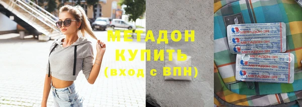 шишки Арсеньев