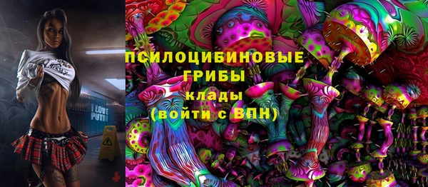 твердый Гусь-Хрустальный