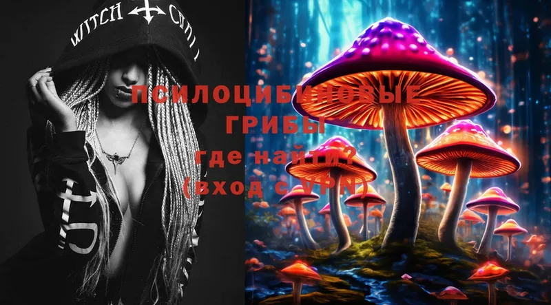 наркотики  Короча  Галлюциногенные грибы Magic Shrooms 