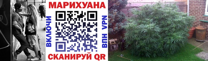 где продают   мега вход  МАРИХУАНА AK-47  Короча 